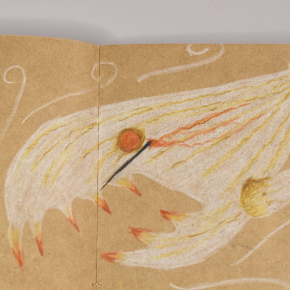 The Starkweather Cave Paintings: From the Field Journal of Frederick "Freddie" Voss, Junior Field Technician